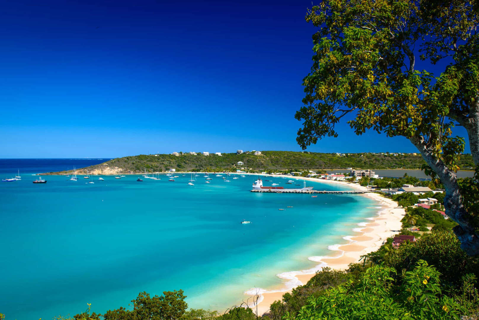 ANGUILLA1777191358.jpg