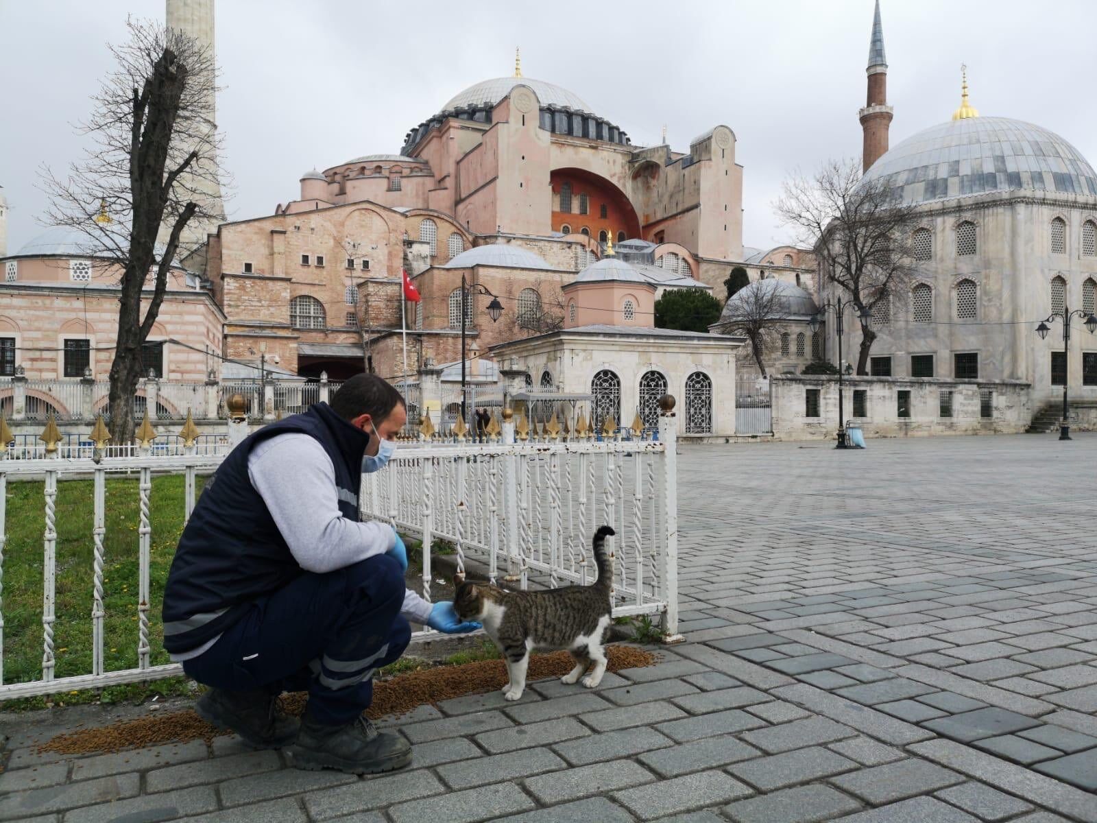 ISTAMBUL-29.jpg